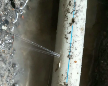 威远卫生间测漏水多少钱