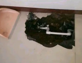 威远卫生间测漏水多少钱